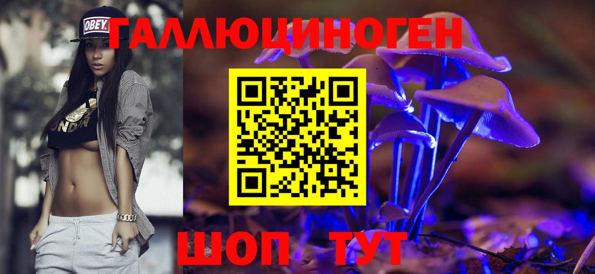 Псилоцибиновые грибы Psilocybe  Вход с VPN  Калининград 